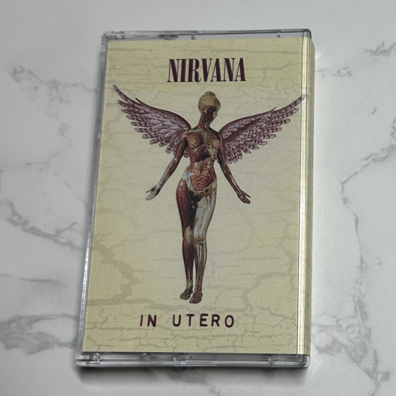 Nirvana Complete Album Collect - Vintage Collection 评论和价格